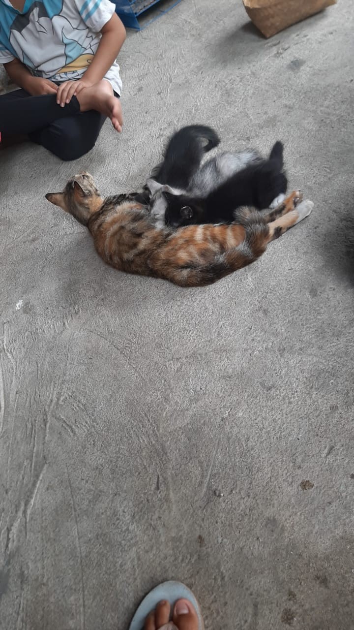 Toples Mini Wadah Sabun