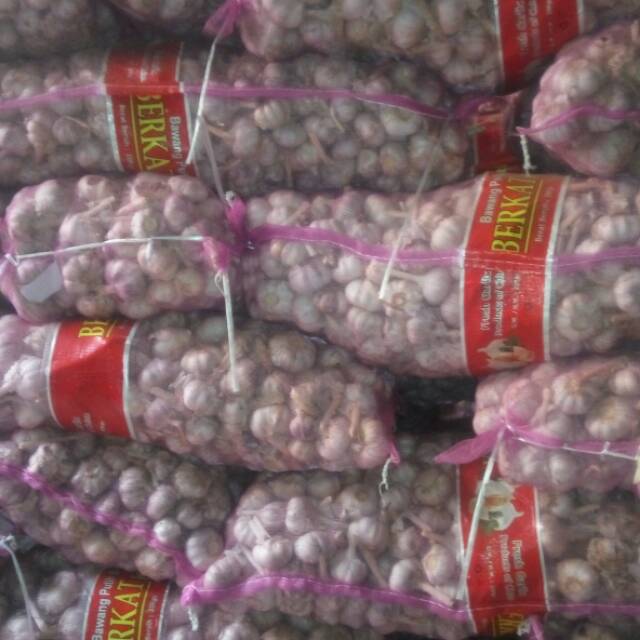 

Bawang putih biasa