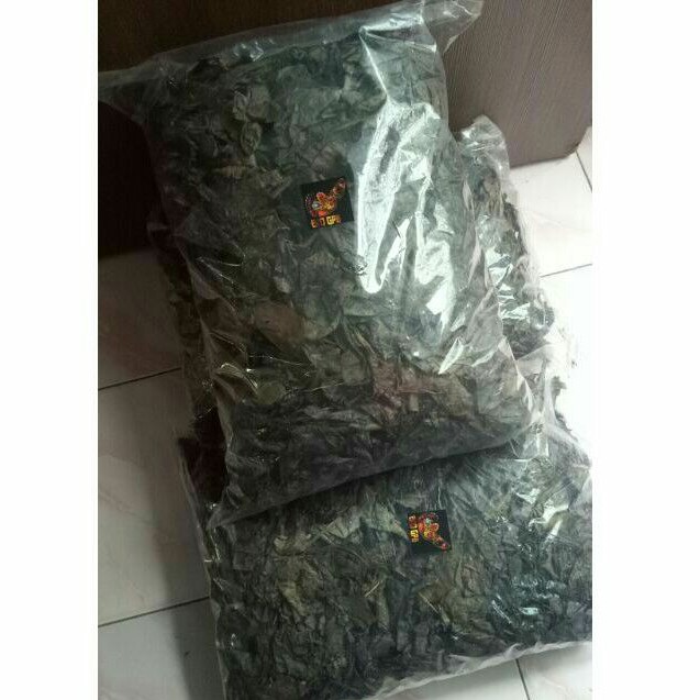 

ketapang premium 1 kg