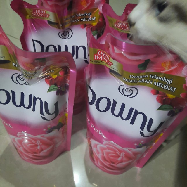 Downy Parfum Collection Floral Pink 780 Ml