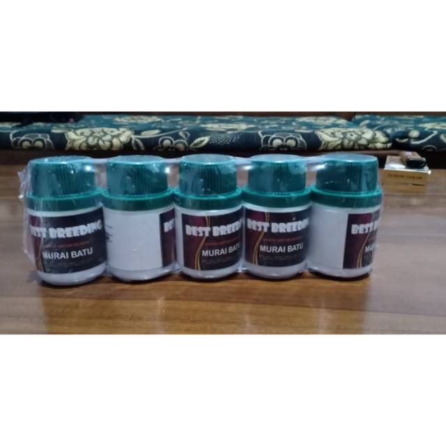 Best breeding khusus Murai Batu 40ml