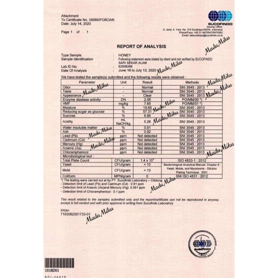 

Sarang Madu Miku 500 gram 100% Madu Asli/ Madu Murni