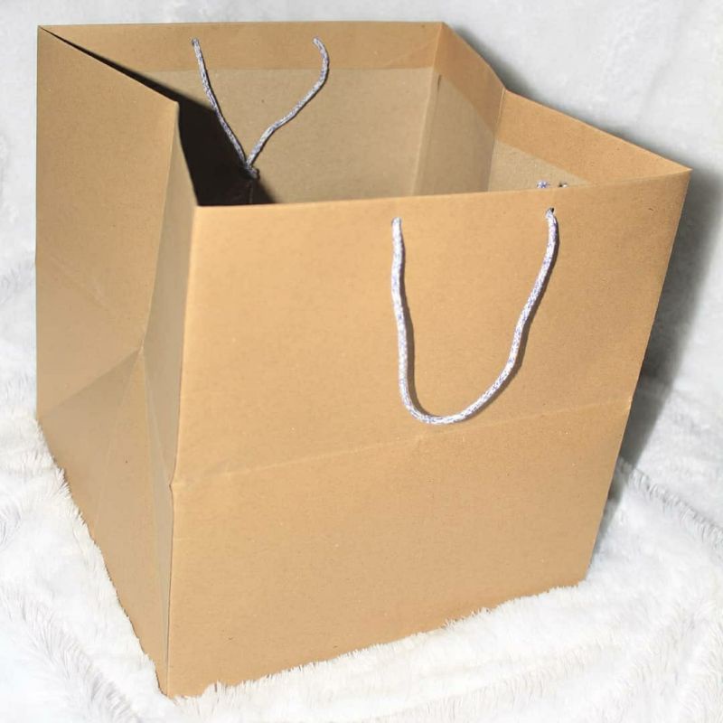 

paperbag nasi super tebal 26*26*25cm