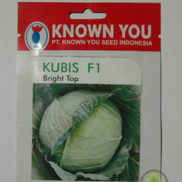 

Kubis F1 Bright Top / Sayuran kol