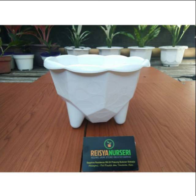 Pot Plastik, Pot Bunga Plastik Reisya, Pot Motif Bola Bonsai Warna Putih