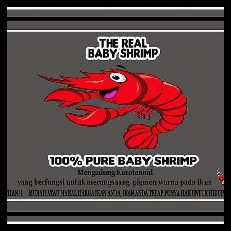 

TERLARIS! Pakan Ikan The Real Baby Shrimp