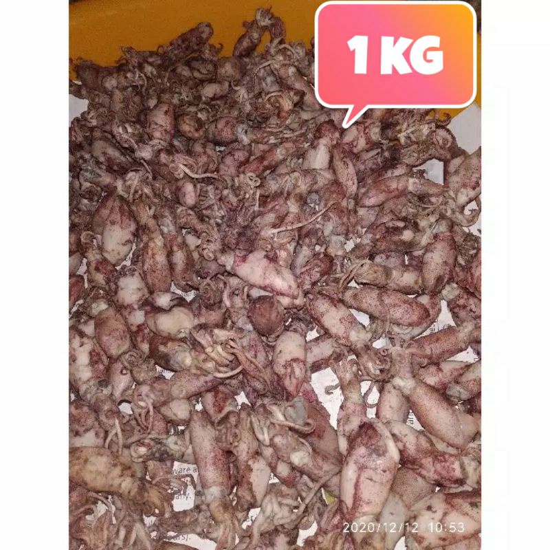 

CUMI ASIN 1KG FRESH KHUSUS SAMEDAY INSTAN