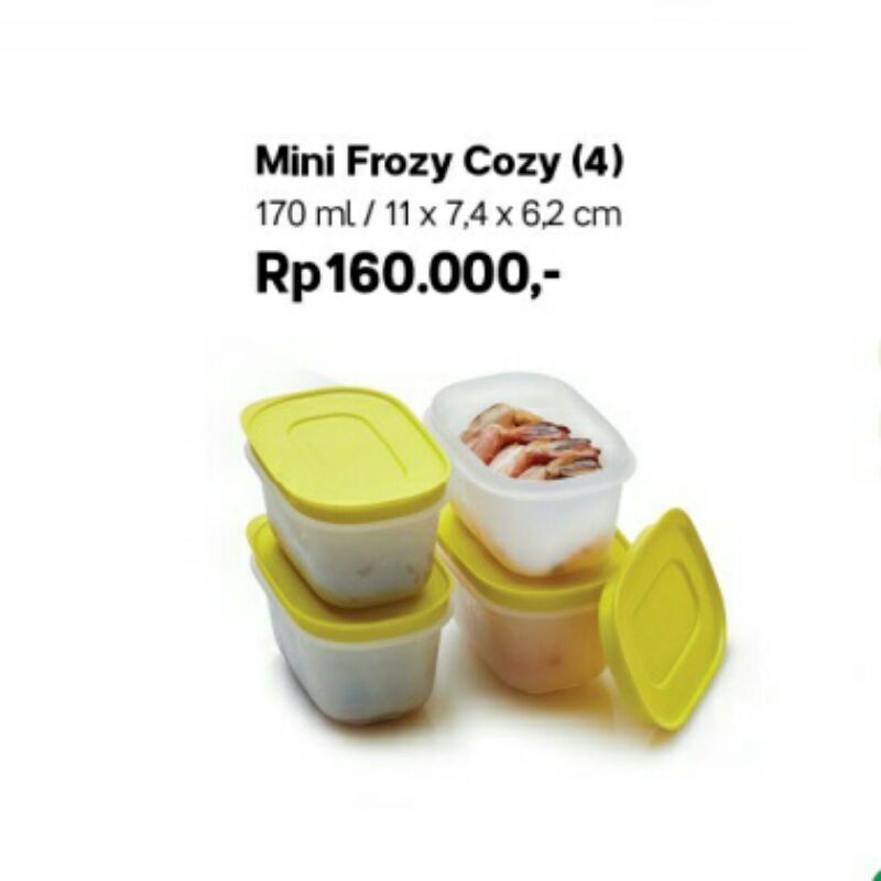 Ecer Kotak/Tempat/Wadah Daging, Ikan atau MAPSI di Kulkas/Freezer (Frozy Cozy Mini Tupperware)
