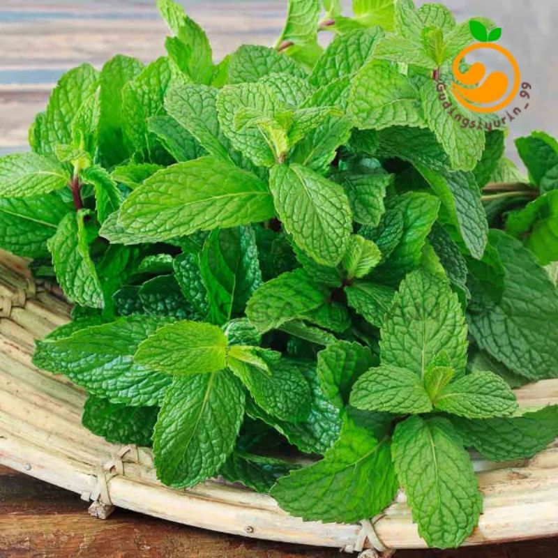 

Daun Mint fresh 250 gram
