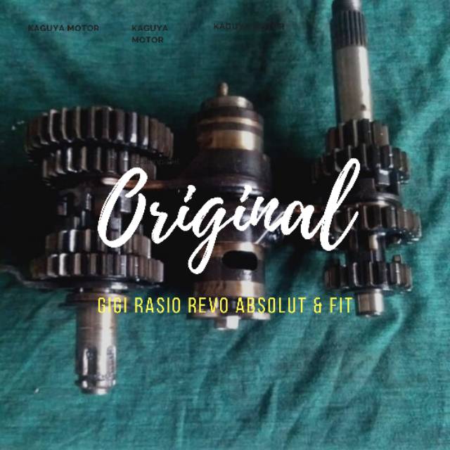 Gigi Rasio Absolute Revo / Revo Fit ORI