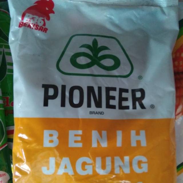 Benih jagung p36 354
