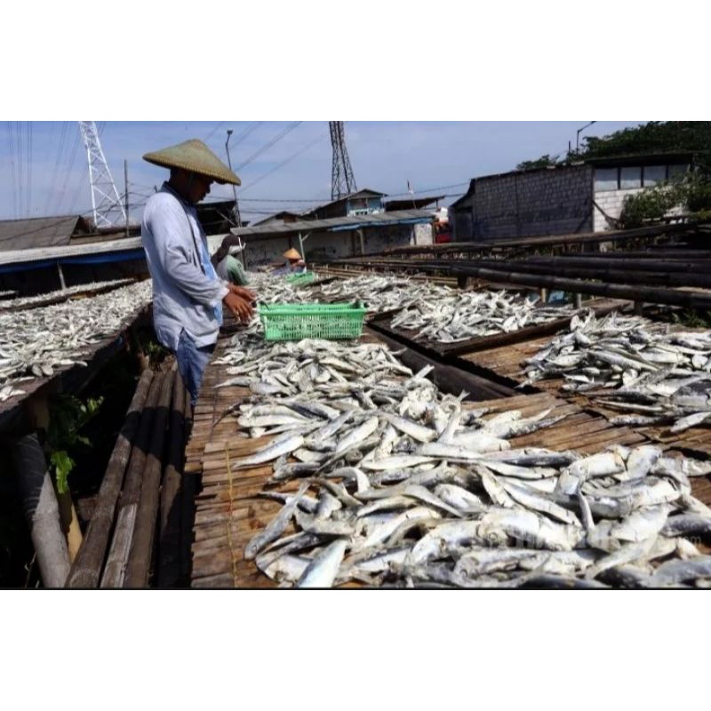 

ikan asin TAMBAN 1kg khas medan bisa COD