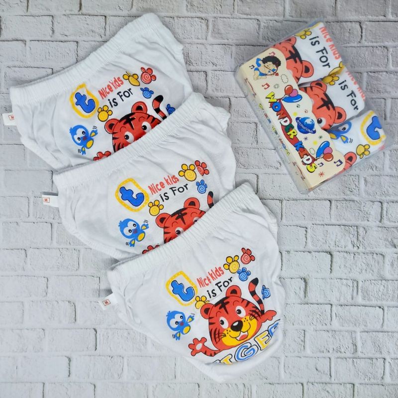 CD Anak Laki -laki WONDER KIDS Putih/ Warna - Isi 3 Pcs / Pac  Size S,M,L,XL