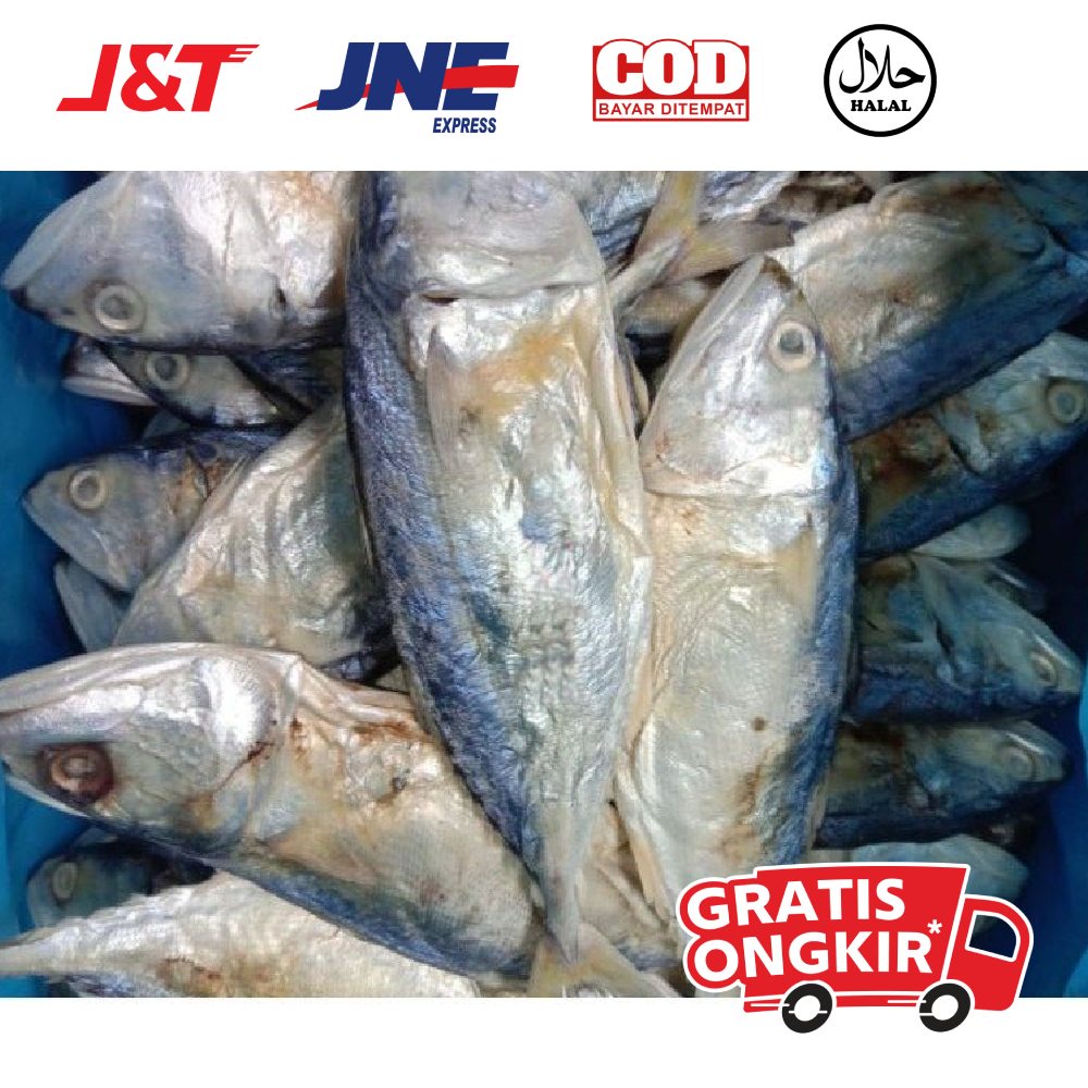 

Ikan asin peda ikan asin gembung medan 500 gram asli medan