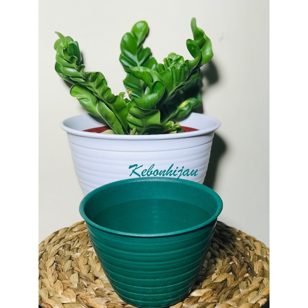 Pot Tawon 12 cm Hijau / Pot Tawon Hijau 12 cm / Pot tawon / Pot Bunga / Pot Tanaman / Pot Kaktus