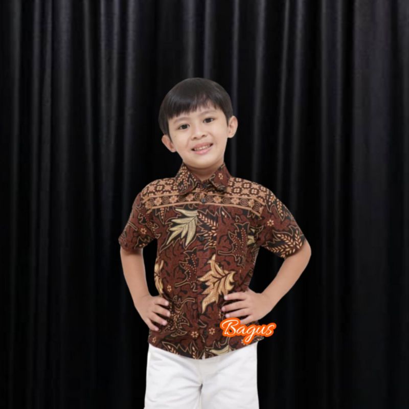 Baju Batik Anak Laki-Laki Lengan Pendek Kemeja Batik Anak Motif Jati