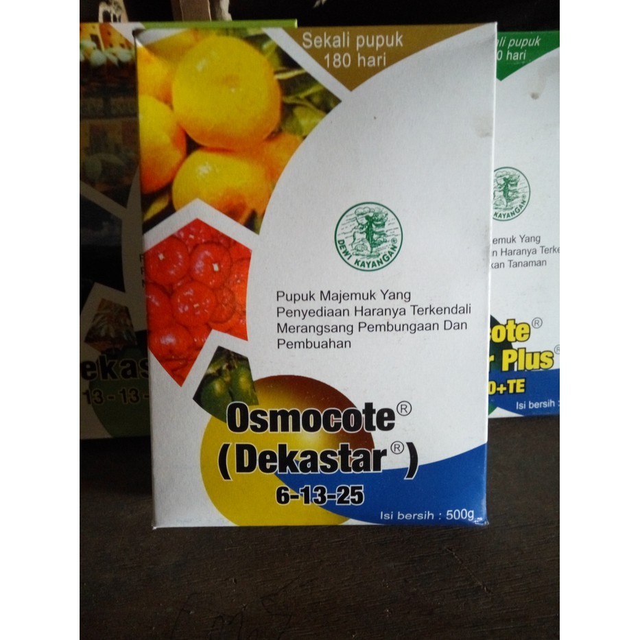 

dekastar isi500 grm pupuk bunga danbuah 6 13 25 Murah