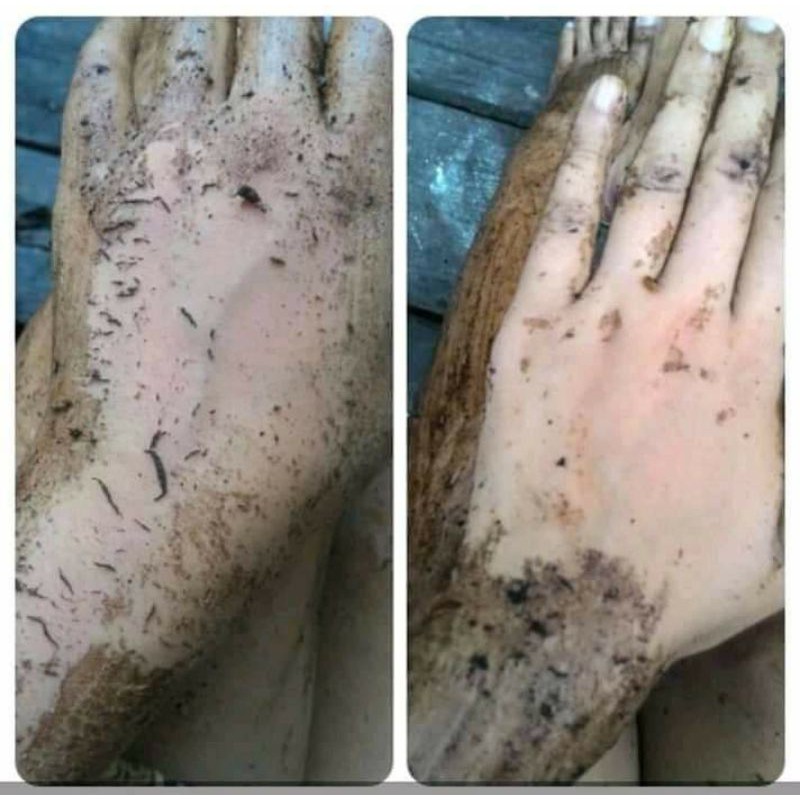 BEDAK LOTONG MURAH LULUR BEDDA LOTONG TERMURAH LULUR BEDAK LOTONG