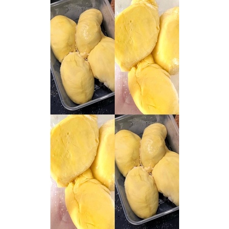 

Durian Montong Palu