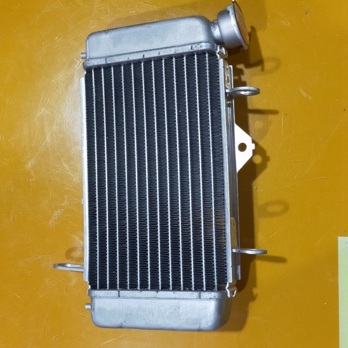 Radiator motor Vixion OEM