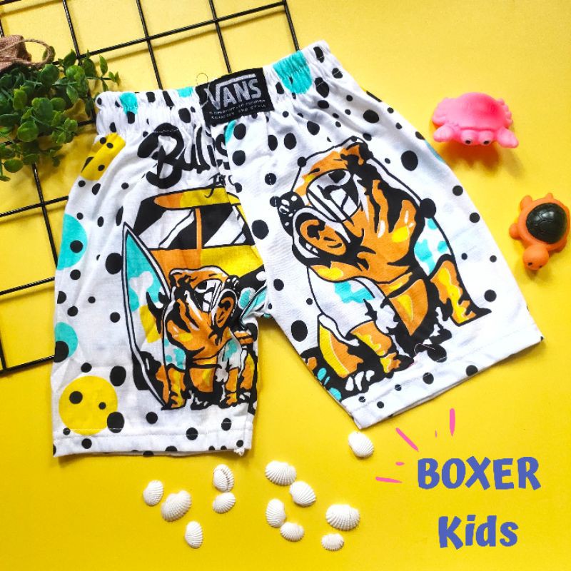 BOXER Distro Katun anak laki laki / CD anak cowok  usia 1-6 Tahun