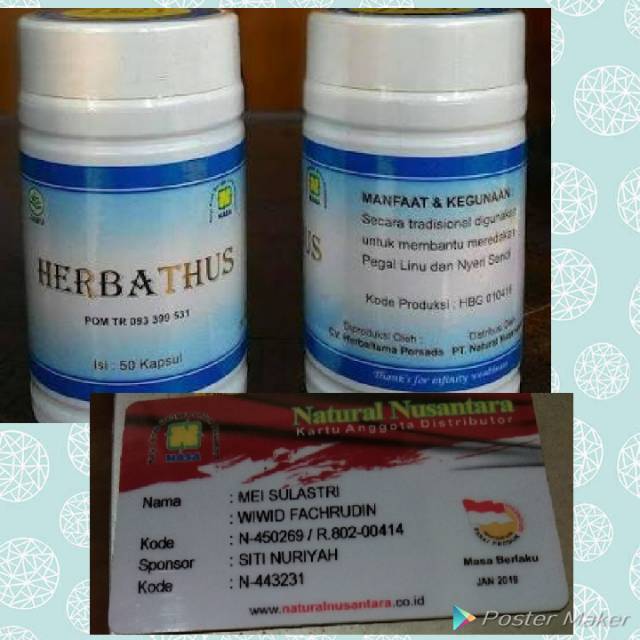 

Herbathus untuk mengatasi asam urat