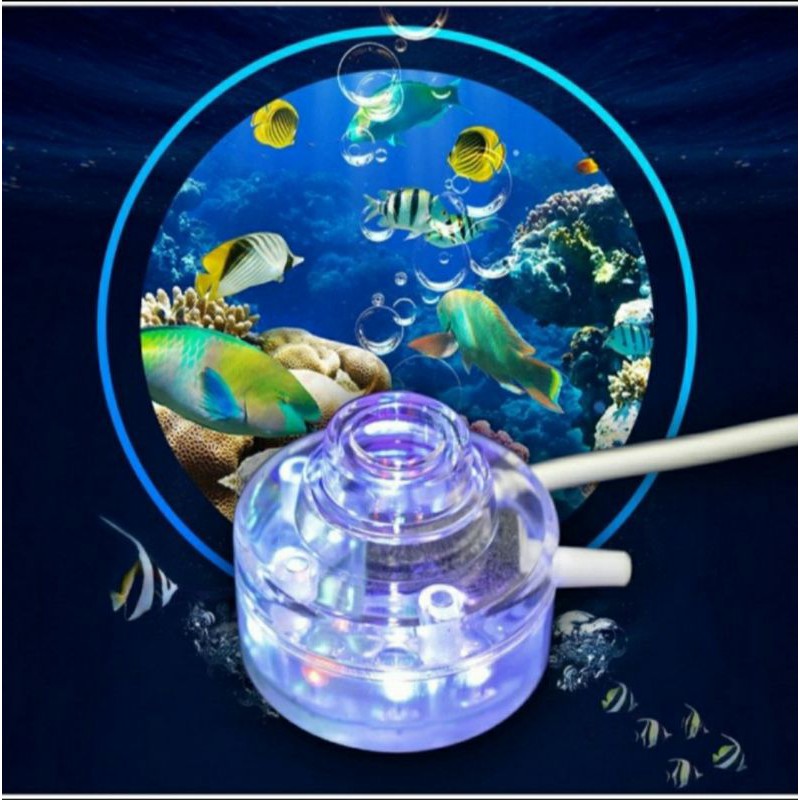 Lampu celup super mini hikari bubble light dekorasi aquarium aquascape