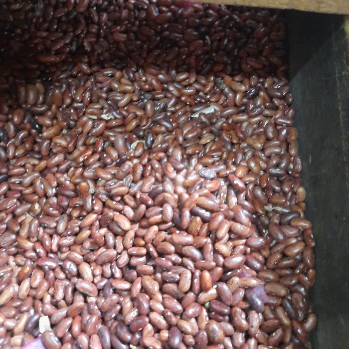 

Kacang Merah - 250 Gram