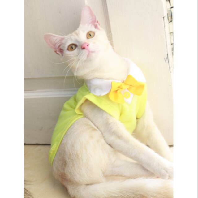 Kaos tuxedo kuning untuk kucing dan anjing /Jual Baju Kucing Terlengkap &amp; Berkualitas size S M L XL