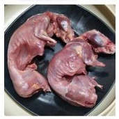 

Daging Marmut Karkas include kepala 1 ekor