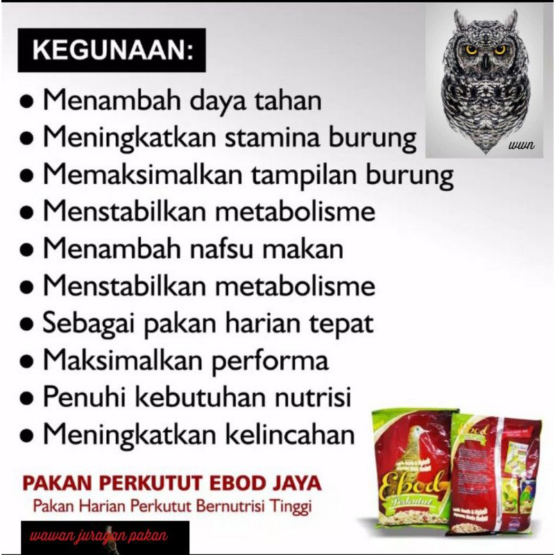 pakan burung perkutut Ebod perkutut, pakan kutut