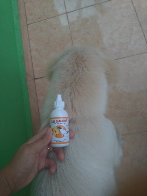 EAR CLEANER FOR DOGS AND CAT / PEMBERSIH KUPING TELINGA ANJING KUCING  65ml