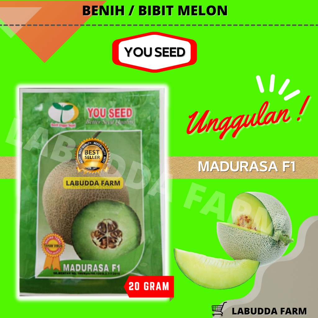 Benih Melon Madurasa F1 Bibit Melon Madu Rasa Hibrida Tahan Virus Kemasan 20g Berbuah Lebat
