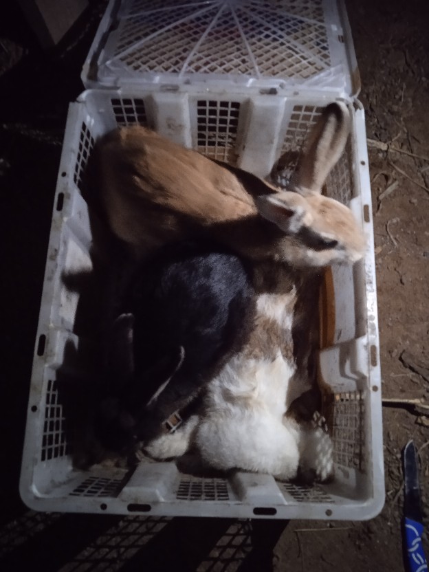 Polybag /polibek Harga Ecer Paling Murah Di Shooppe