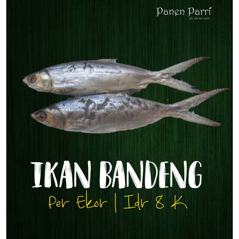 

Ikan Bandeng