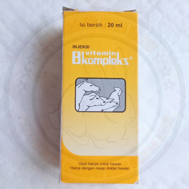 Vitamin b kompleks - Vitamin injeksi kelinci