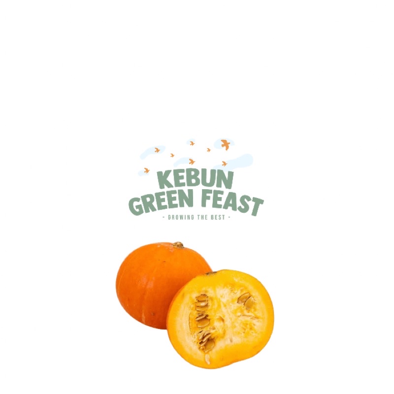

kabocha - Labu Jepang / Labu Baby mpasi