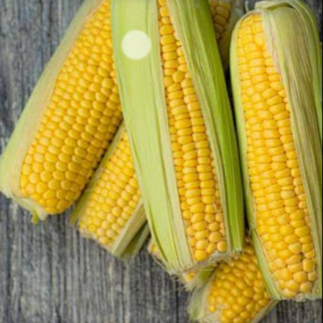 

Jagung