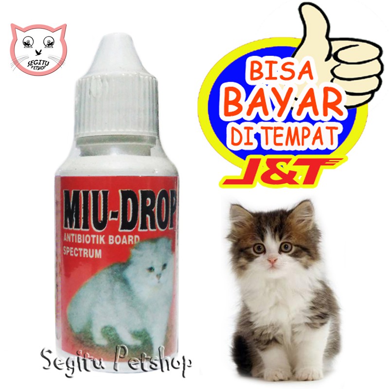 Obat kucing MIU DROP Antibiotik Kucing