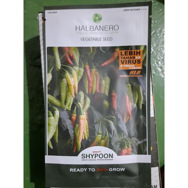 Benih Cabe Rawit SHYPOON F1 (original)