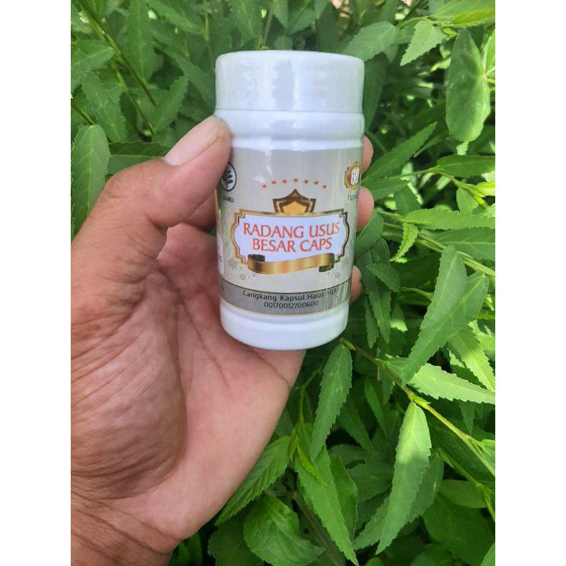 HERBAL RADANG USUS BESAR UNTUK MENGOBATI RADANG USUS BESAR