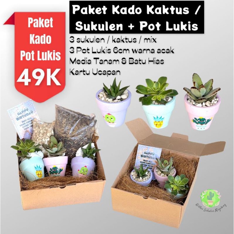 Paket Kado Kaktus / Sukulen + Pot Lukis 3pcs