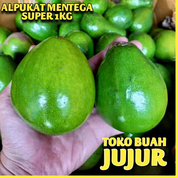 

QKW ALPUKAT MENTEGA SUPER❂ (Murah)Model baru ☈