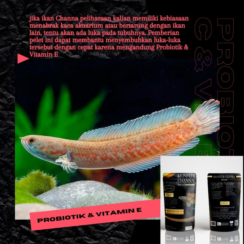 MONSTER CHANNA 100 gram Pelet Spesial untuk ikan Chana