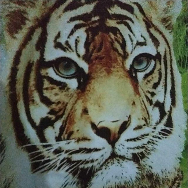 Stoper Stopper Knok Knock  U 10 Mm Alat Meja Sablon Thailand Thailook