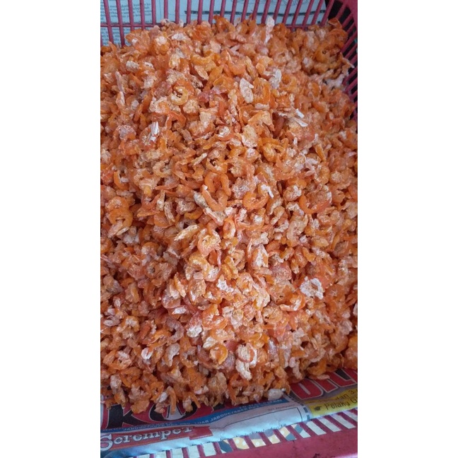 

10cscss Ebi Kering Cirebon Dscscv