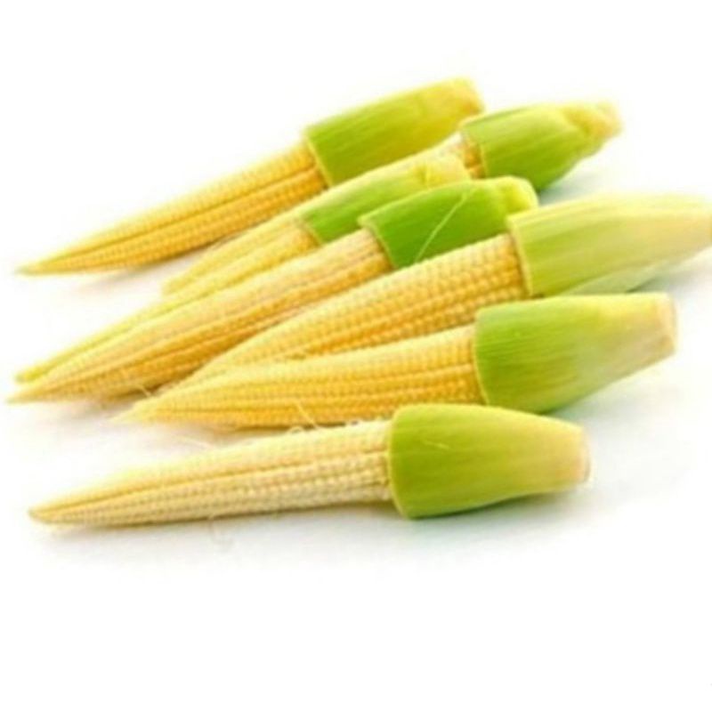 

Jagung Muda Putren 100 gr - Gerobak Sayur Palembang