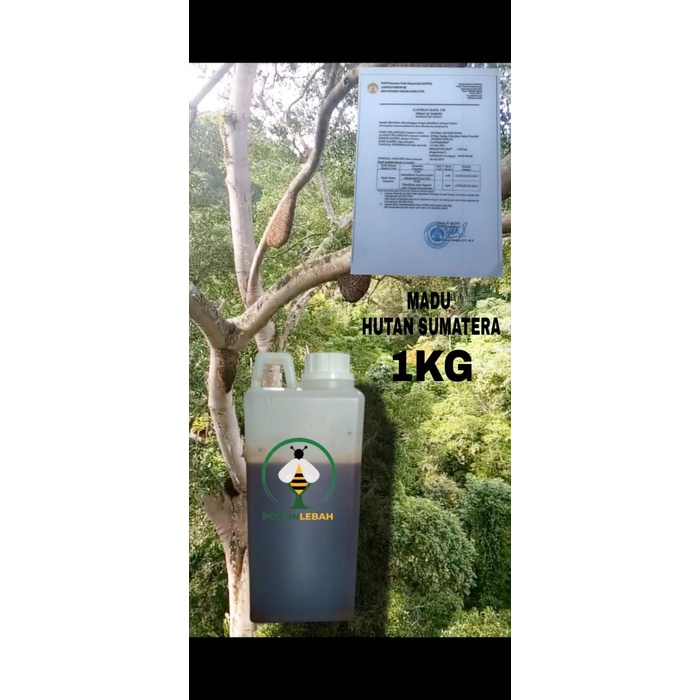 

(BISA COD) madu asli hutan sialang 1kg madu murni raw honey madu mentah - Akasia carva