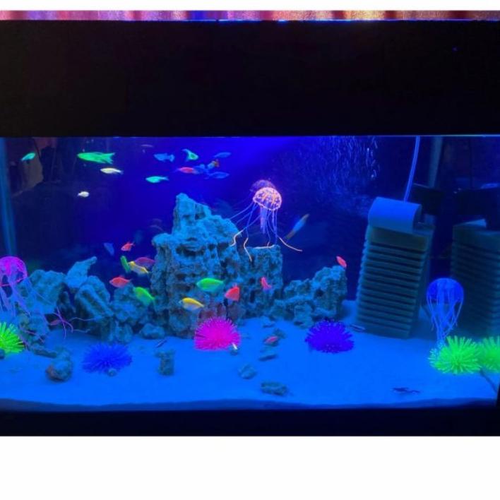 750+ Dekorasi Aquarium Air Laut HD Terbaik