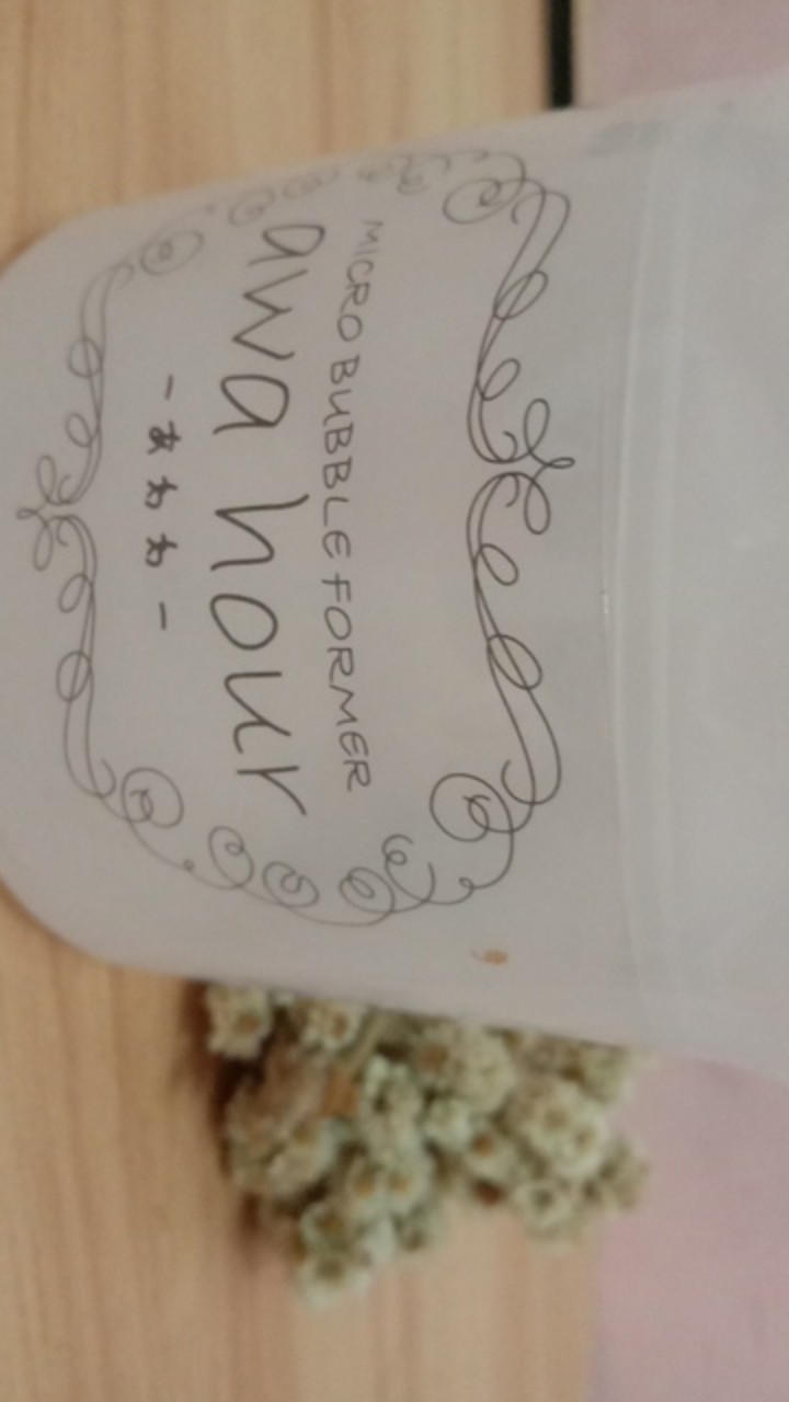 Fygalery Hl0068 Botol Pembuat Busa Shampoo/sabun Untuk Pembersih Wajah Travel Pembuat Busa Import